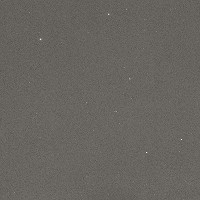 Slab Image of Stellar Grey